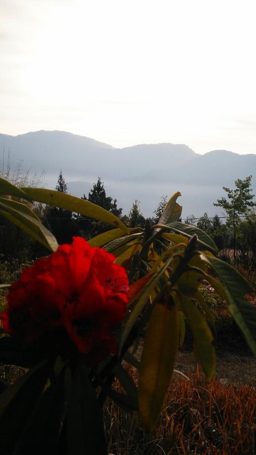 Hotel Neora Valley Retreat Rishop Exterior foto